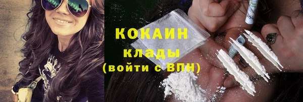 твердый Алексин
