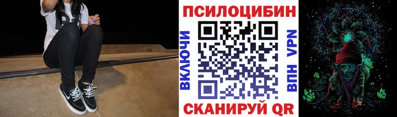 купить   Долинск  Псилоцибиновые грибы Cubensis 